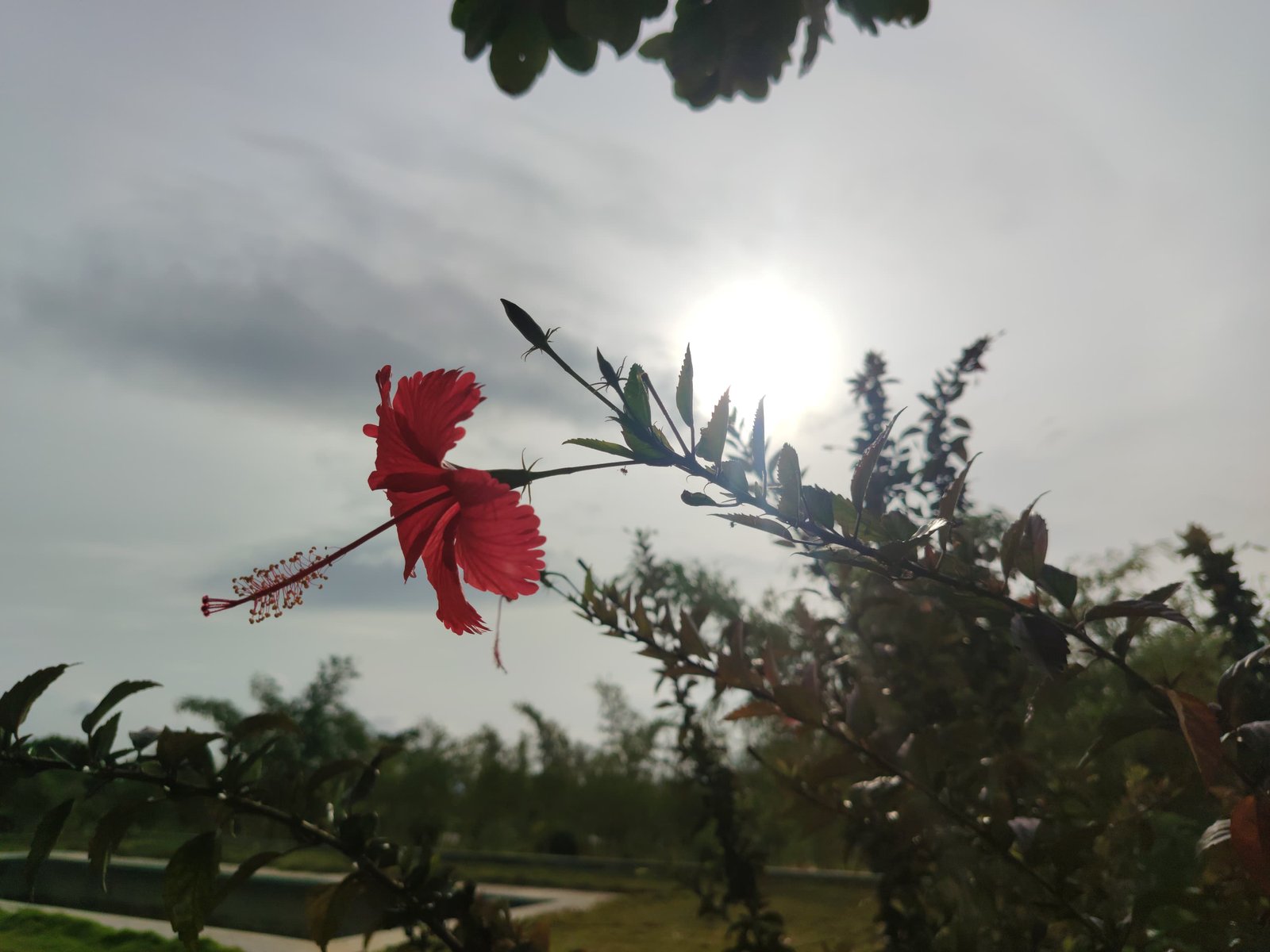 Nature's Cluster Gallery